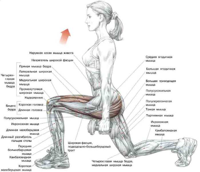 Перехожу на свободные веса:)
