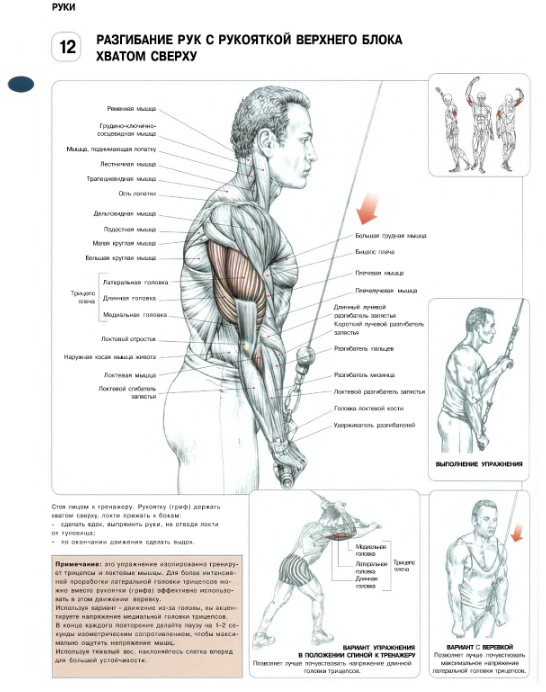 Третий день - день спины:)