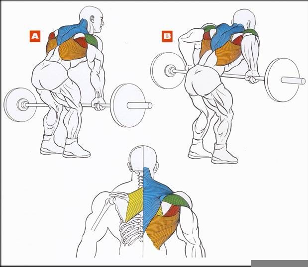 Третий день - день спины:)