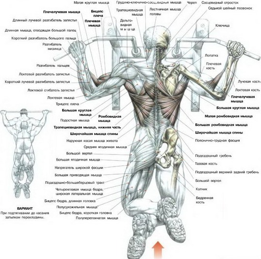 Третий день - день спины:)