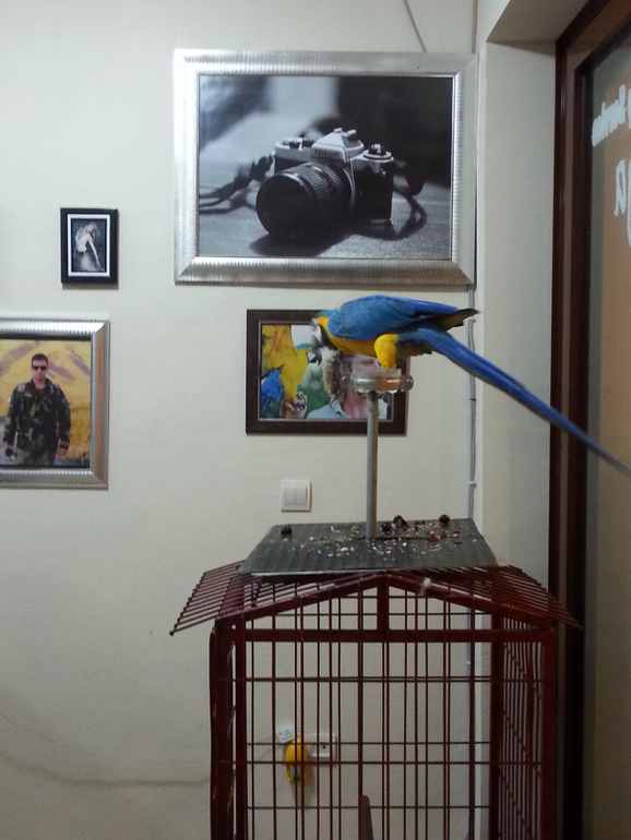 Турляндия 23.05-03.06.2014