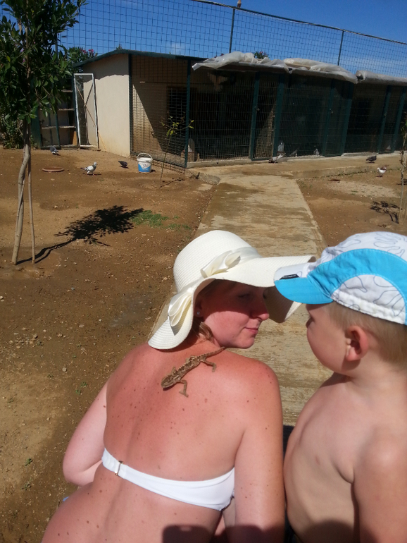 Турляндия 23.05-03.06.2014