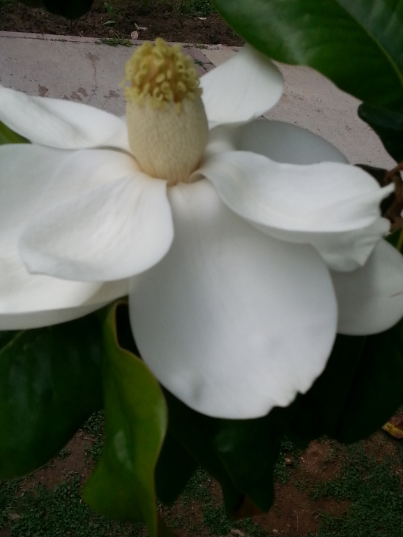 Турляндия 23.05-03.06.2014