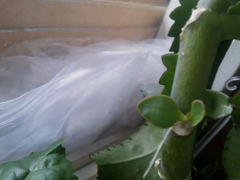 подскажите как быть...