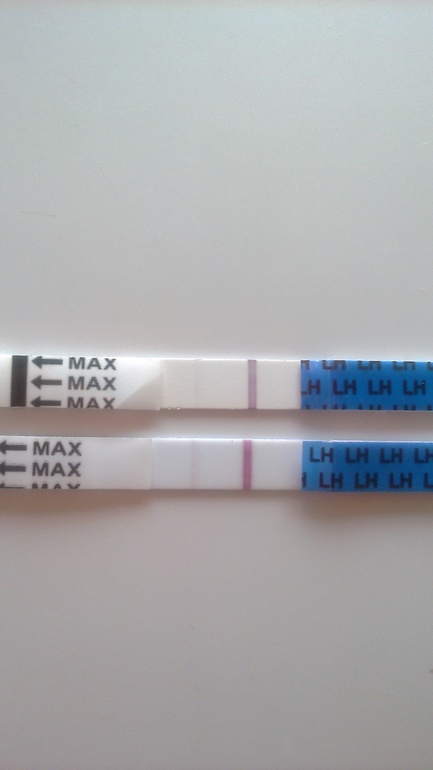 Тесты на беременность по дням. 25 дц 10 дпо. Бб тест реагент. 30 дц тест. Это д ц.