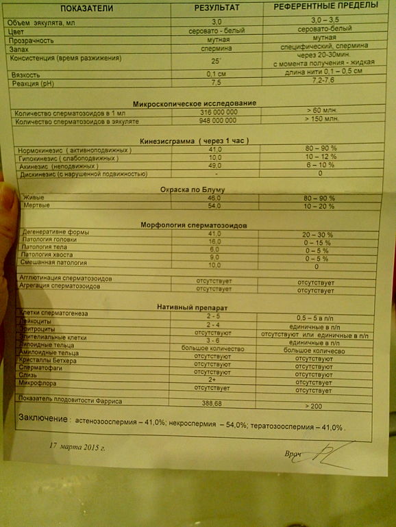 Схема лечения тератозооспермии форум