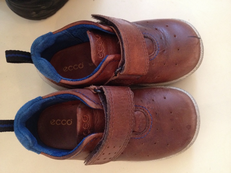 Scandia, Ecco, pabloski 20,21,22