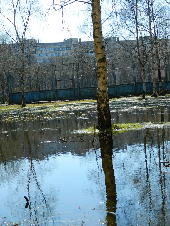 Фотоаппарат Nikon Coolpix L120 4000р.