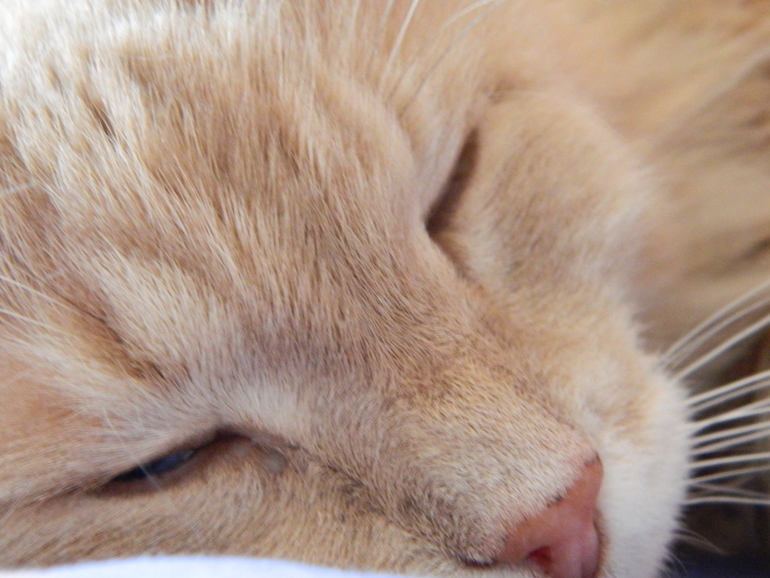 Фотоаппарат Nikon Coolpix L120 4000р.