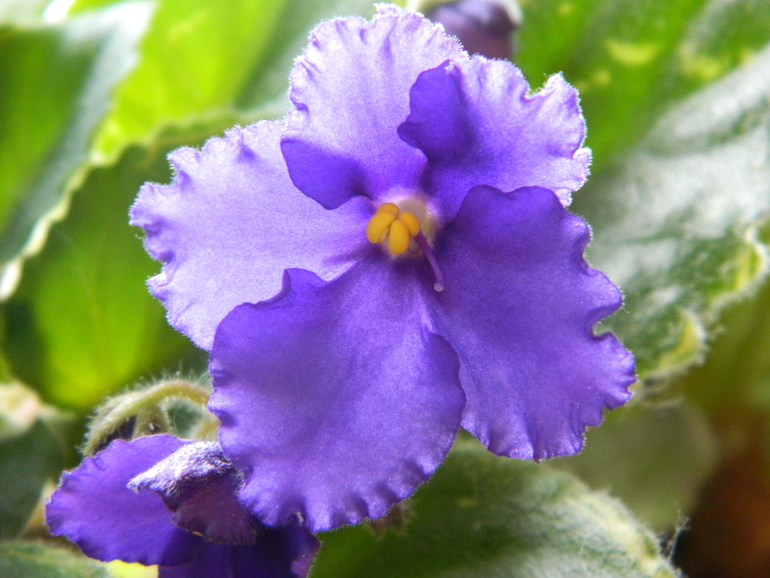 Фотоаппарат Nikon Coolpix L120 4000р.