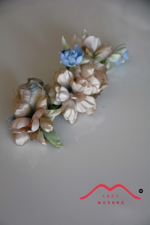 Лeто началось. Расцвeтают цвeточки