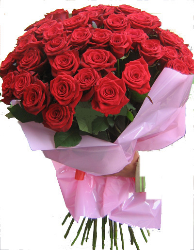 a1609bb396b68afebe866f2e73ee46be.jpg