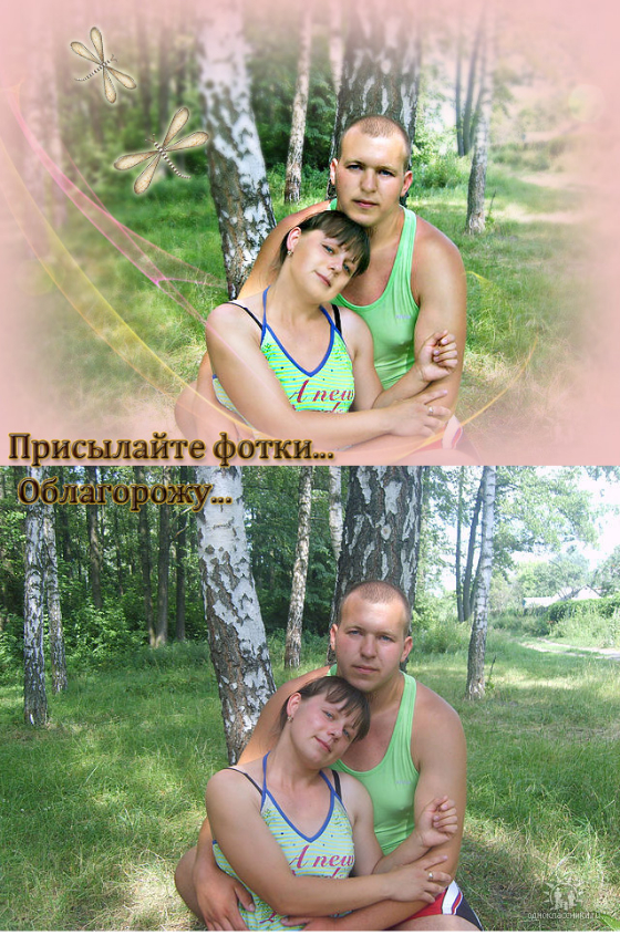 Картинка