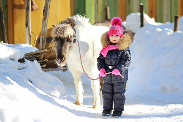 Winter 2012-2013 ) By Olechka )