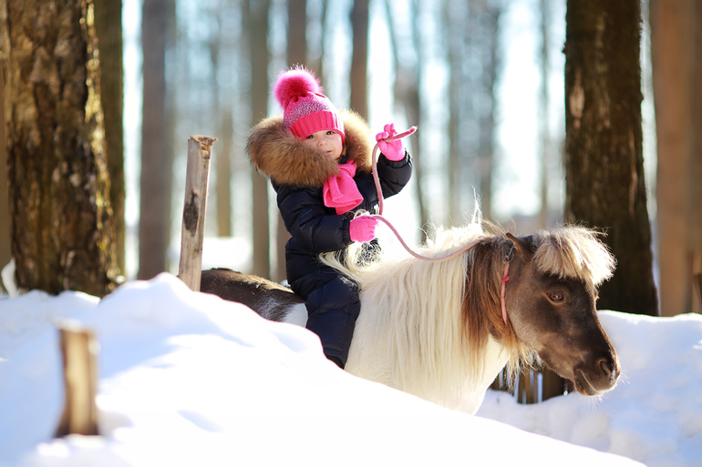 Winter 2012-2013 ) By Olechka )