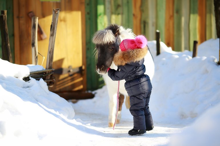 Winter 2012-2013 ) By Olechka )
