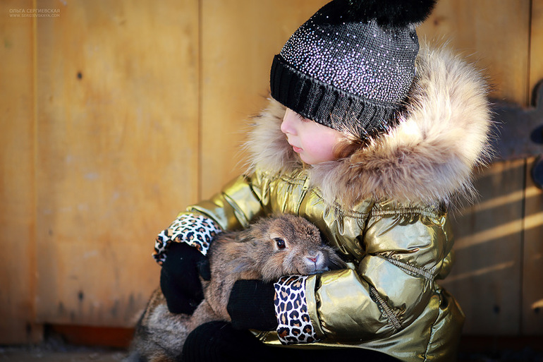 Winter 2012-2013 ) By Olechka )