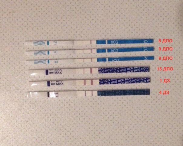 5 тестов показали беременность