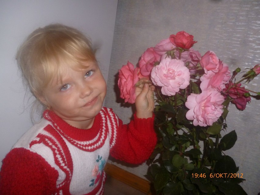 Фи..розы банально))