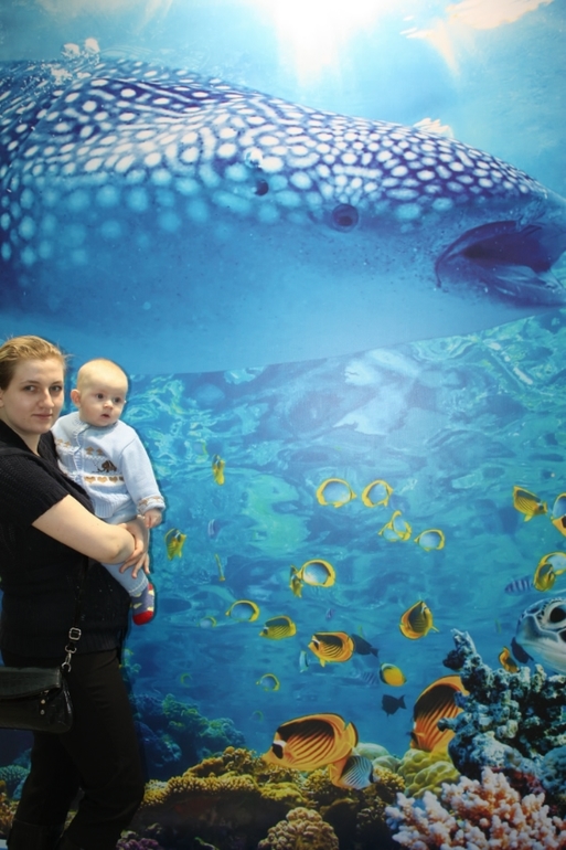 Моему солнышку 7 месяцев