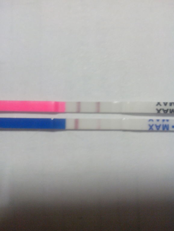 Овуляция или Беременность