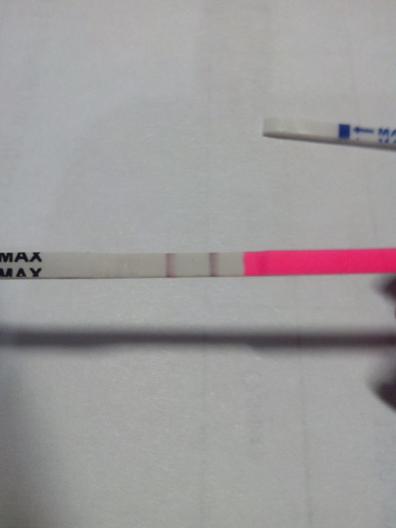 Овуляция или Беременность