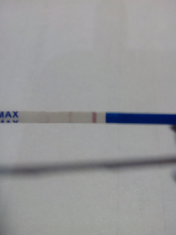 Овуляция или Беременность