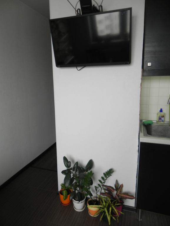 ФМ моя кухня