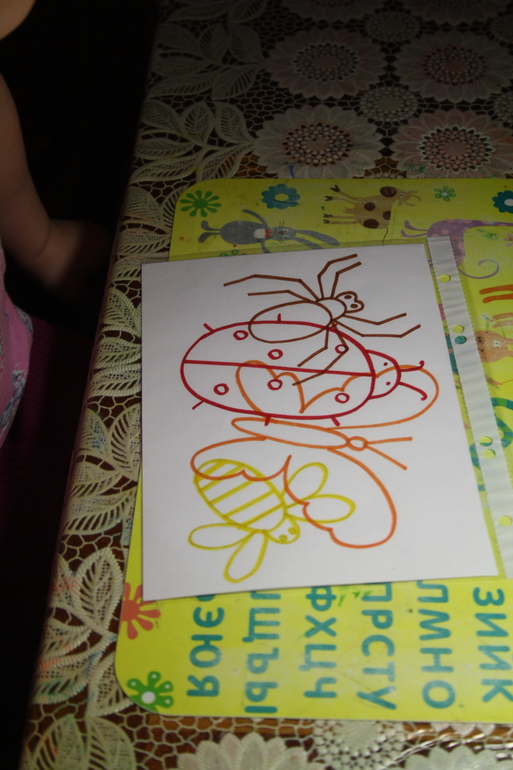 Насекомые. День 2.