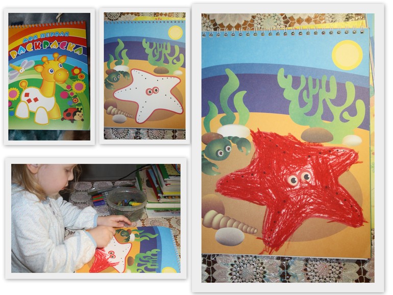 Обитатели морей и океанов.  День 1.