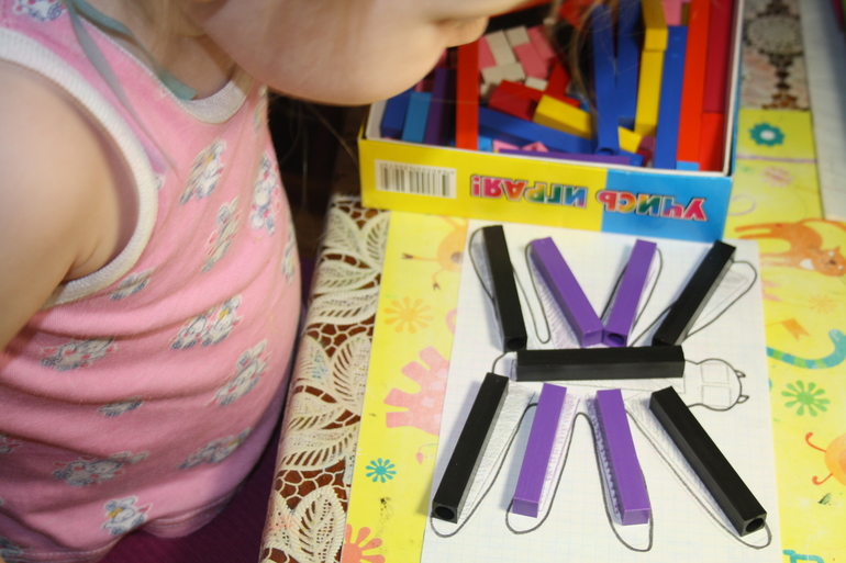 Насекомые. День 2.