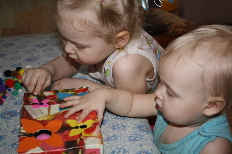 Насекомые. День 1.