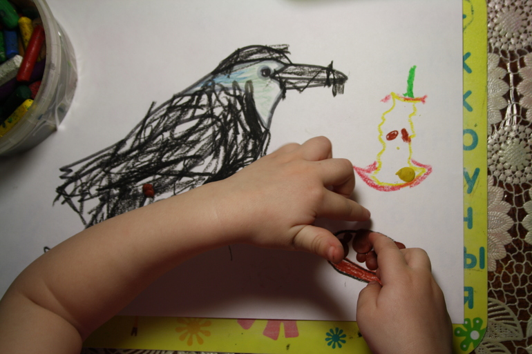 Птицы. 3. Городские.