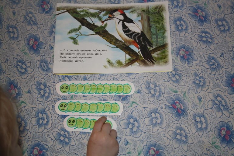 Птицы. 5. Обобщение.