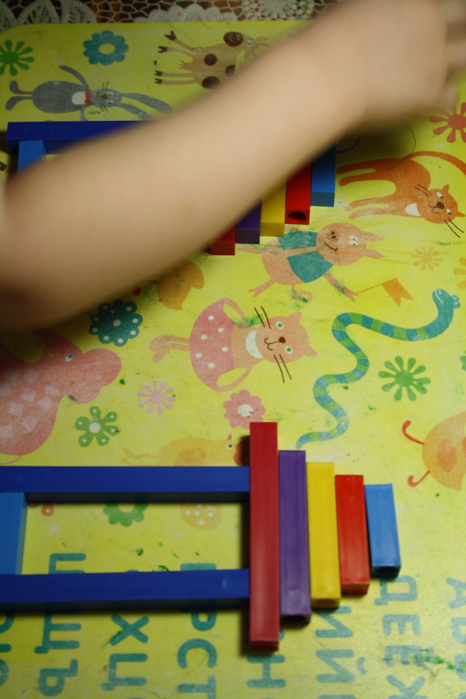 Птицы. 3. Городские.