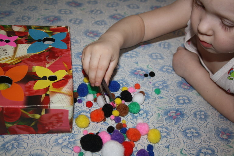 Насекомые. День 1.