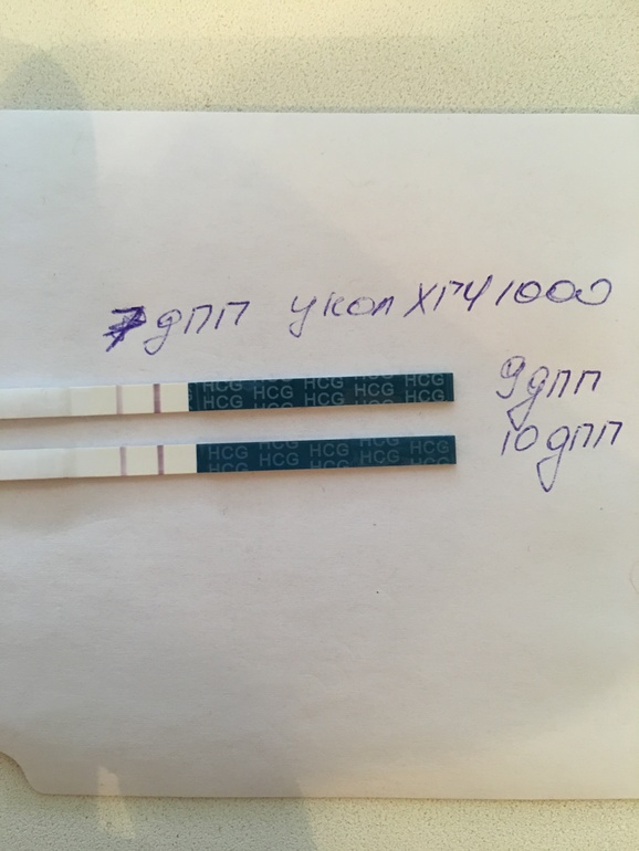 Криопротокол. Тест на 10 ДПП пятидневок крио. Тест на беременность на 10 ДПП пятидневки крио. ХГЧ В криопротоколе на ЗГТ. Тесты после крио на ЗГТ.