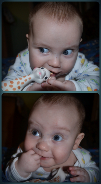 Роберту 5 месяцев!