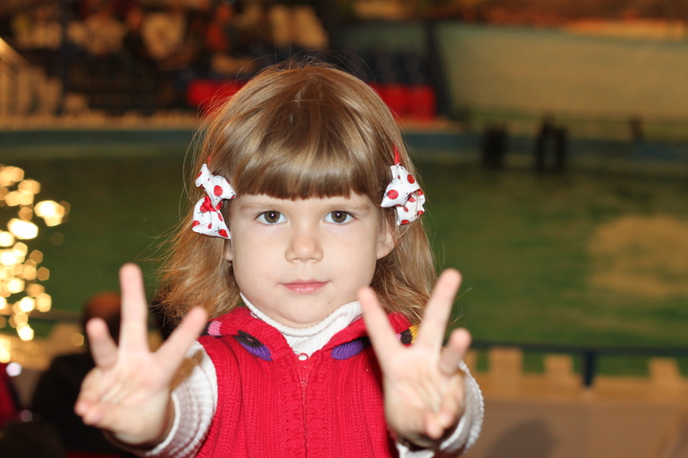 Дельфинарий