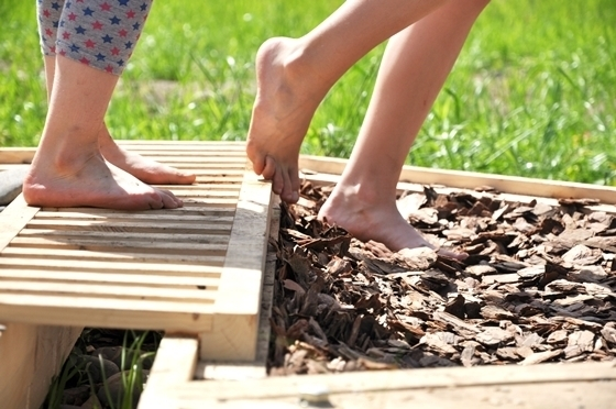 Сенсорный сад в Сокольниках