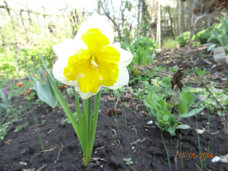 Выходные на даче.