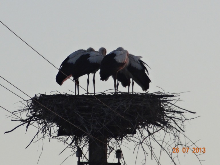 Наш отпуск в Октябрьском Курской обл.