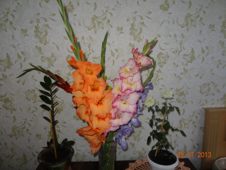 Наш отпуск в Октябрьском Курской обл.