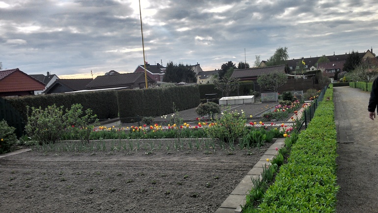 Немецкие дачи