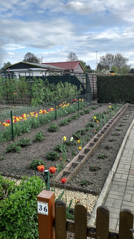 Немецкие дачи