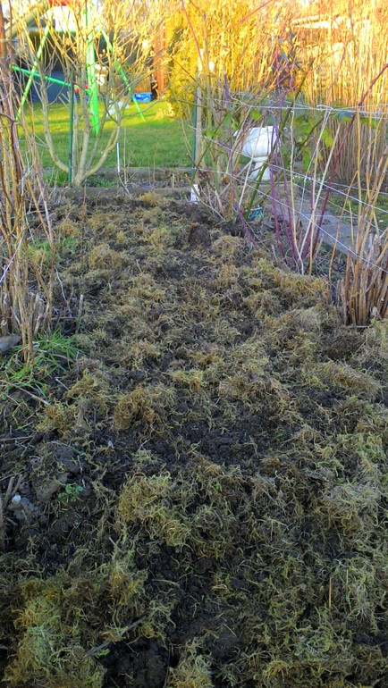 Началась работа на даче