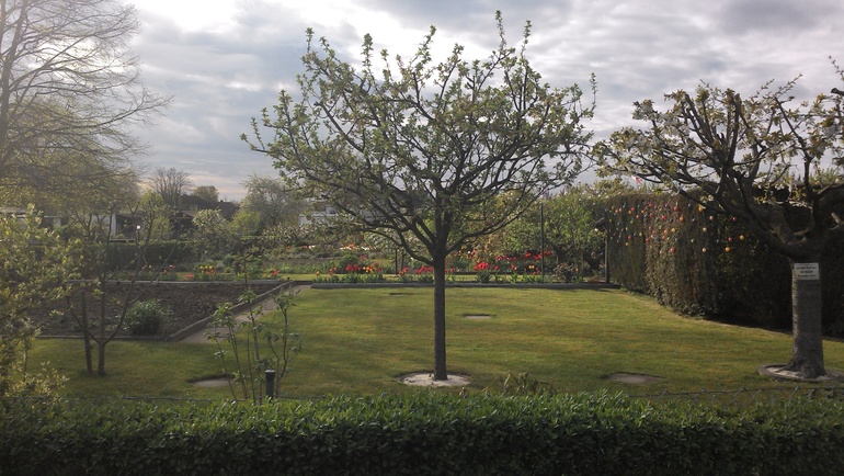 Немецкие дачи