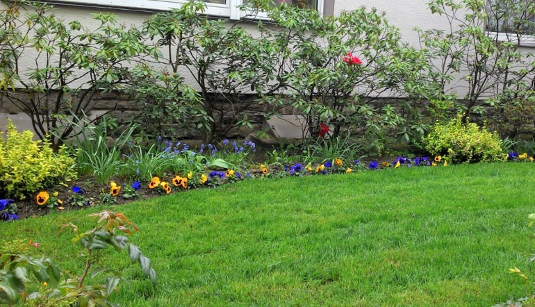 Немецкие дачи