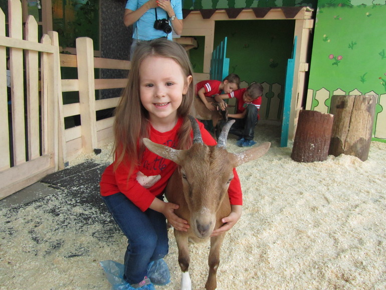 Контактный зоопарк Теплый стан