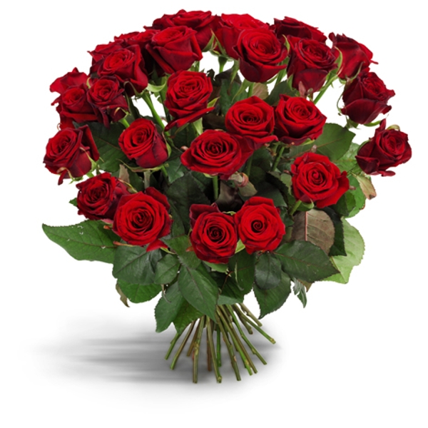 5f8de6da4384eaa88bcc091a7c7675db.jpg